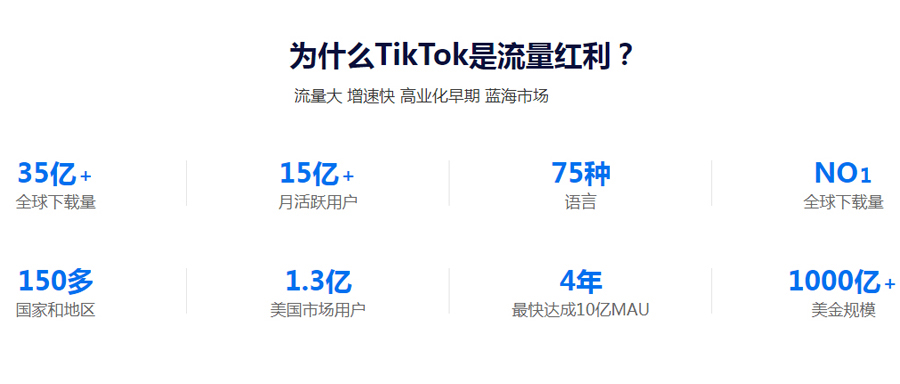 沧州Tiktok推广  第3张